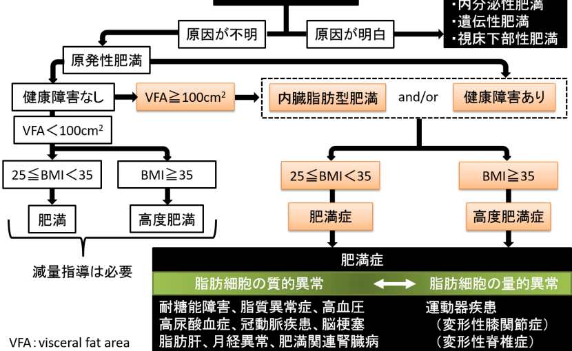 肥満性